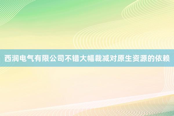 西润电气有限公司不错大幅裁减对原生资源的依赖